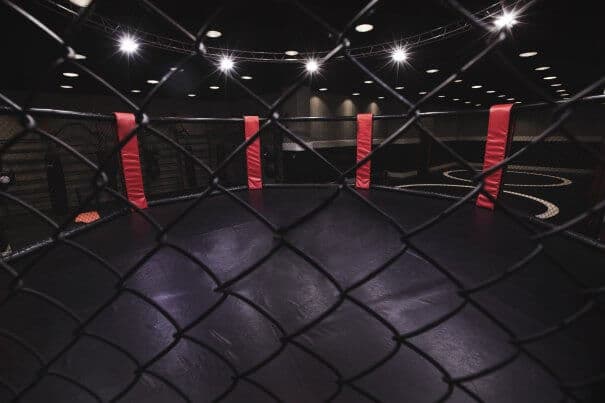 McGregor kohtaa Poirierin