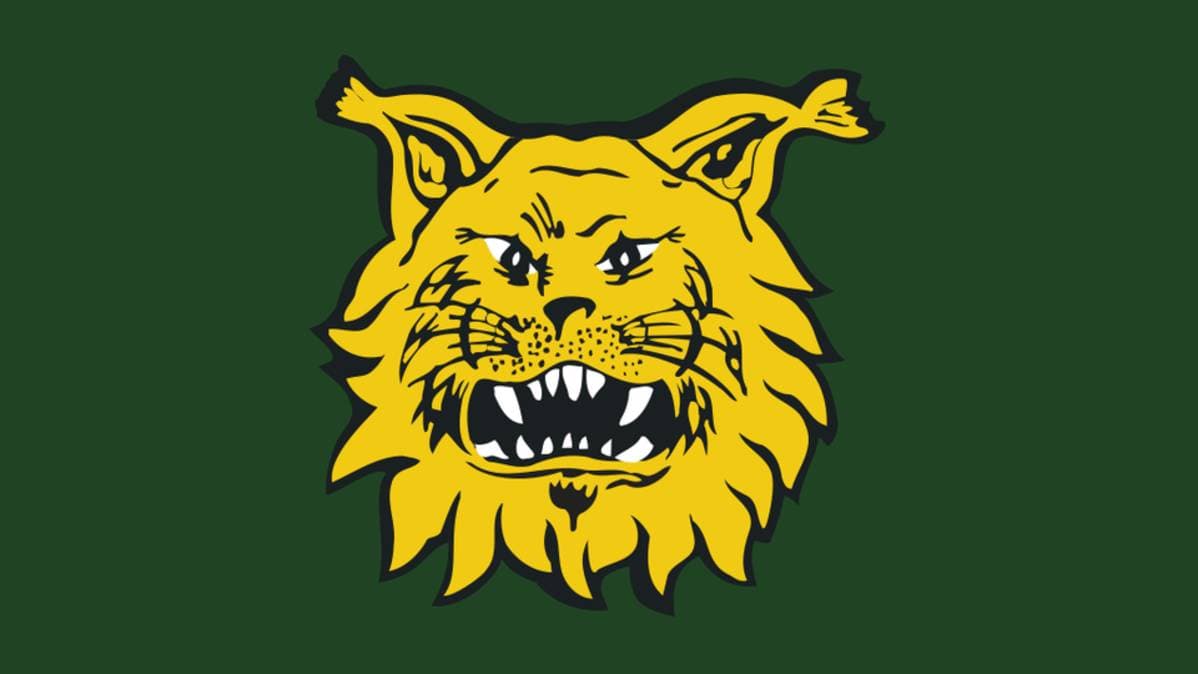 Ilves pelit ja TV-lähetykset 2021-2022